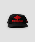 NM CAP